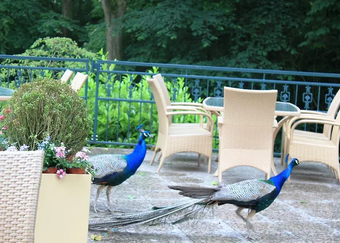 Hotel Akzent Hoxberg 4*